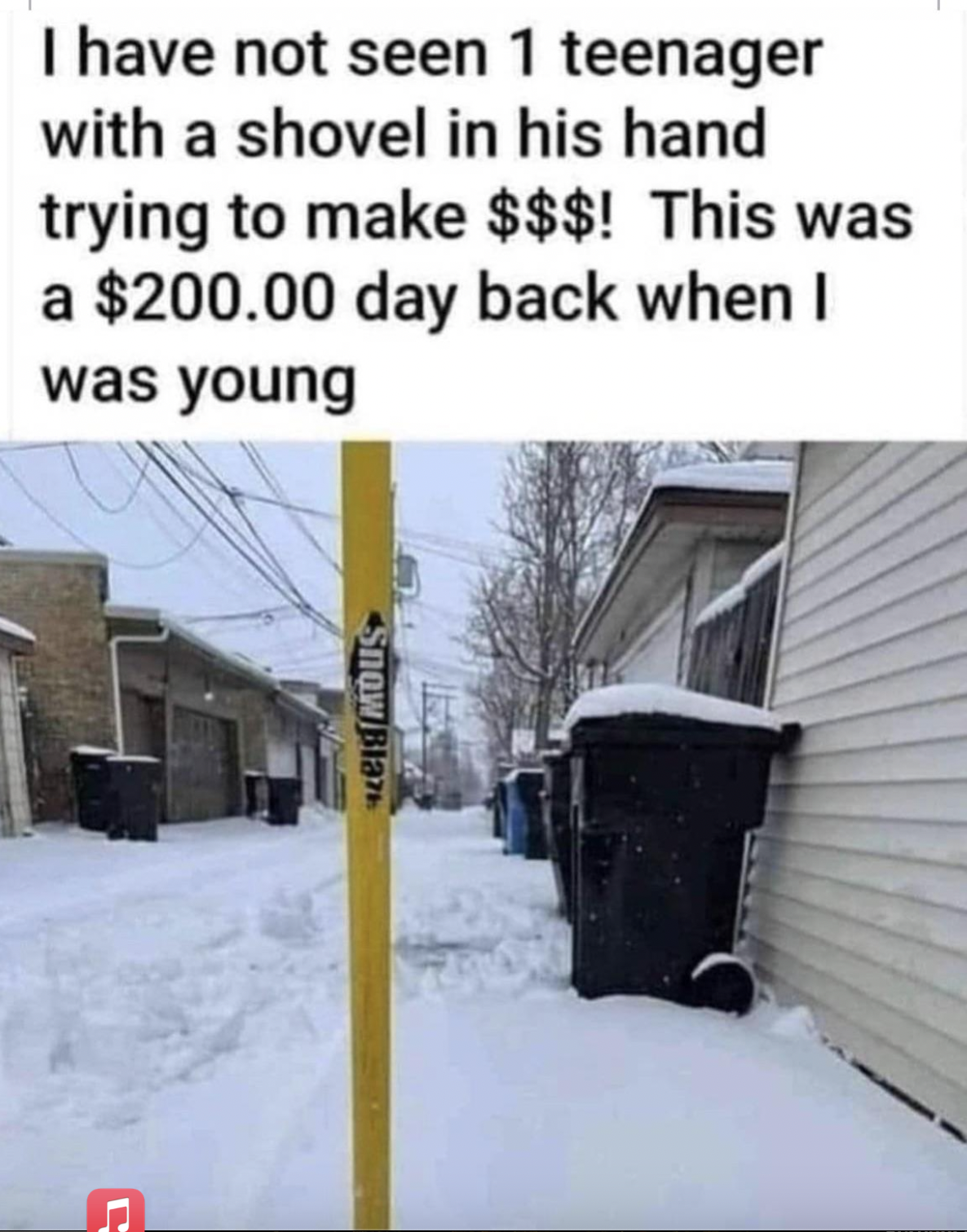 snow - I have not seen 1 teenager with a shovel in his hand trying to make $$$! This was a $200.00 day back when I was young Snow Bla C